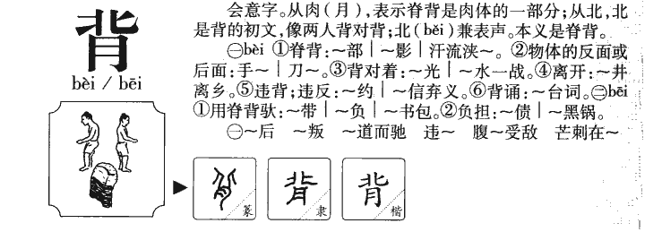 背组词和拼音， 背的拼音多音字组词 