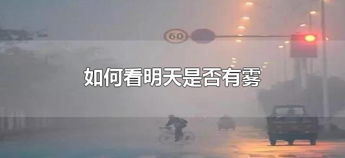 如何看明天是否有雾