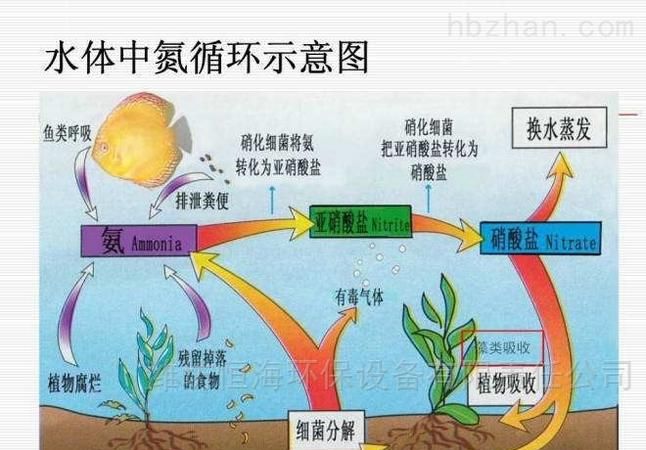 污水厂氨氮超标应该如何处理才能达标呢