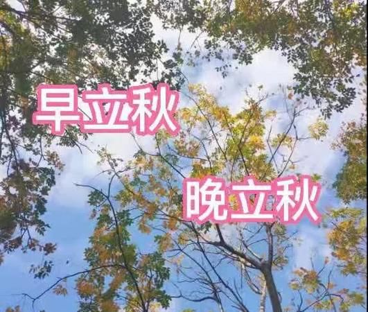 立秋之后还会热多久