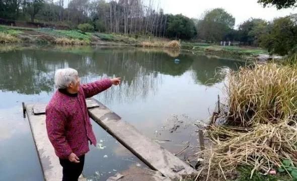 洪水抱树女孩成警察，面对跳水女孩，几位民警抢救不及时，你怎么看？图2