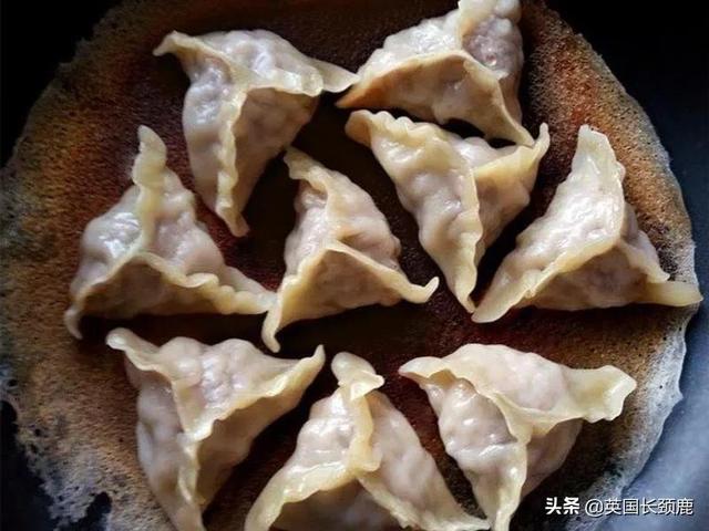 过年必吃的10种饺子（中外奇葩饺子大赏）(46)