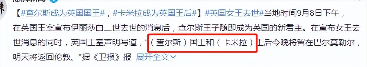 查尔斯已成为英国国王（查尔斯继位英媒用）(4)