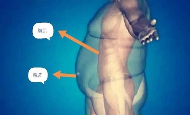 如何有效锻炼腹肌，怎么练腹肌，多长时间速练？图3