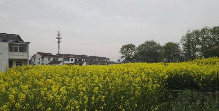 江苏义征市是哪个地区的