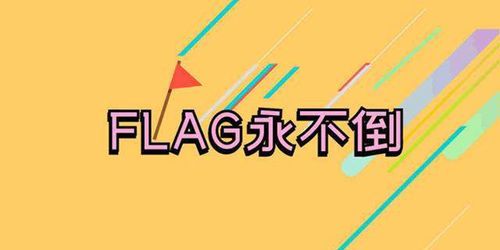 网上老说的Flag是什么意思