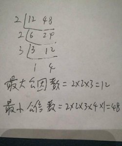 ​48的因数有哪些数，48的公因数有哪些数？