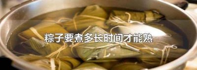 ​粽子煮多久才会熟,粽子要煮多长时间才能熟