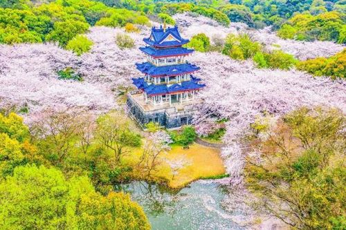 江苏省旅游景点排名前十名(江苏省旅游必去十大景点)-第2张图片-