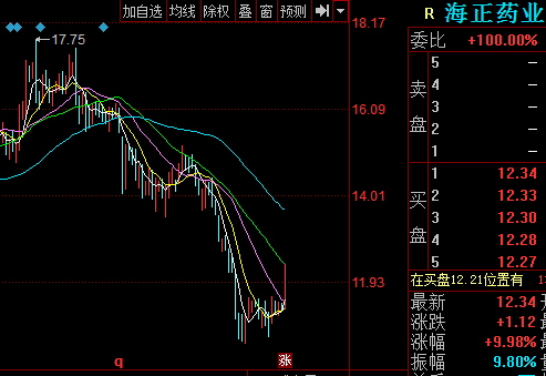 海正药业股票股吧_海正药业股票股-第1张图片-