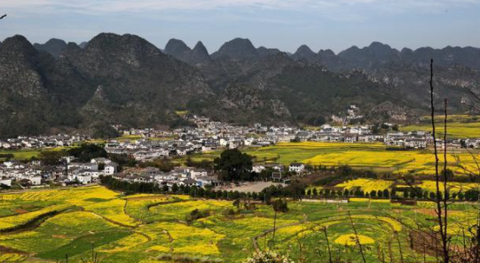 安顺花海风景区在哪里,西安格桑花海在哪里图6