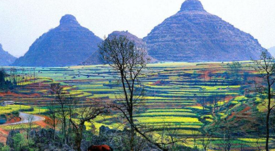 安顺花海风景区在哪里,西安格桑花海在哪里图7