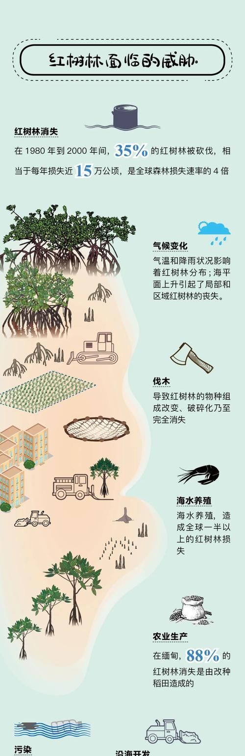 红树植物对高盐地带有什么反应