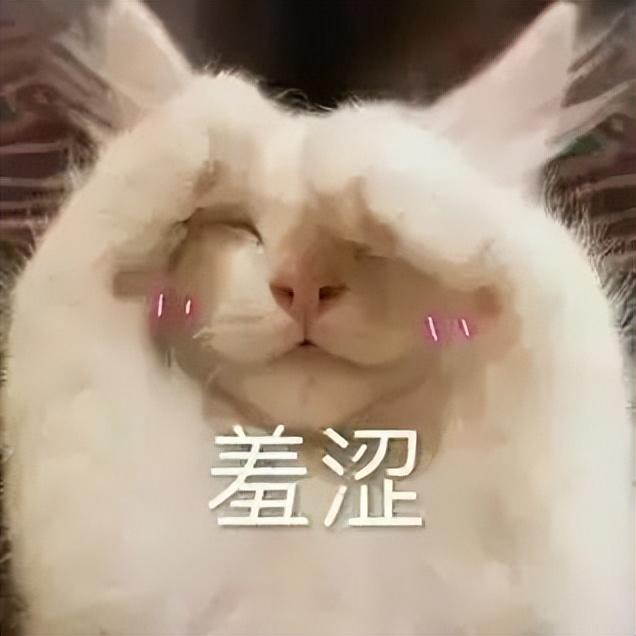 猫几月份生小猫(小猫一般几月份下崽)