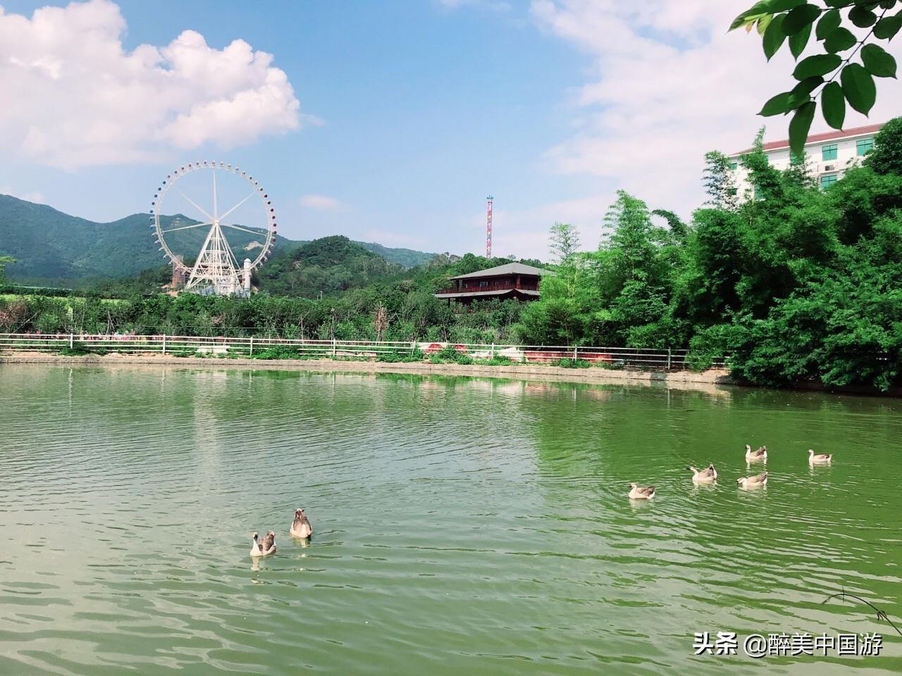 望天湖在哪里(望天湖旅游度假区门票多少钱)