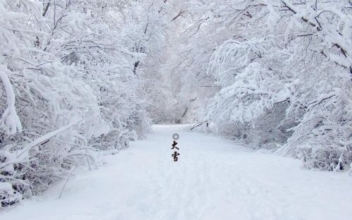 大雪节气的由来和风俗(大雪节气的由来和含义)-第1张图片-