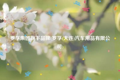 ​罗孚集团旗下品牌(罗孚(大连)汽车用品有限公司)