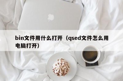 ​bin文件用什么打开（qsed文件怎么用电脑打开）