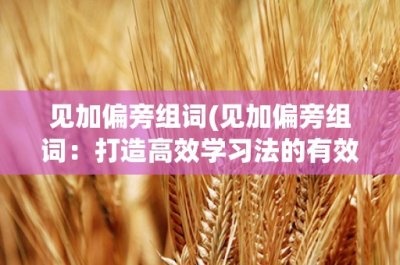 ​见加偏旁组词(见加偏旁组词：打造高效学习法的有效工具)