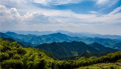 ​重阳节饮什么酒吃重阳糕 重阳节饮什么酒好