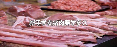 ​卖猪肉好学吗 卖猪肉新手需要注意什么?