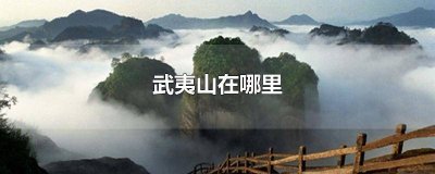 ​武夷山在哪里哪个省份哪个市 武夷山在哪里做核酸