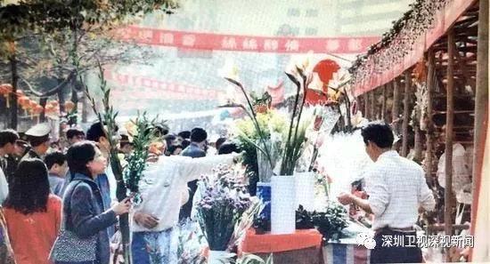 深圳迎春花市回来了，小伙伴们走起来~