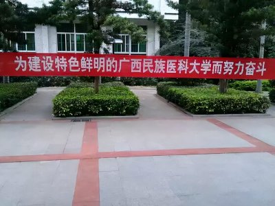 ​百色学院学习井冈山大学更名为百色大学为什么没有成功？