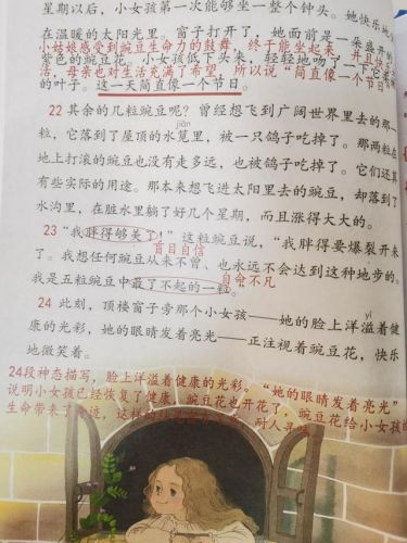 一个豆荚里的五粒豆课堂笔记图片_一个豆荚里的五粒豆课堂笔记生字-第1张图片-