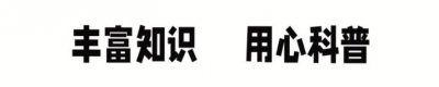 ​盘点二战时期逆天的反坦克步枪，一枪能干掉坦克？并不是痴人说梦