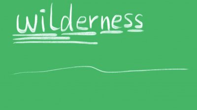 ​wilderness什么意思