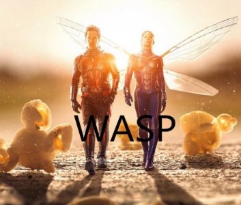 ​美国人天生最爱WASP，何为WASP，学者给出了不一样的解读