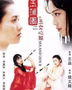 ​《玉蒲团之玉女心经》：融合风月悬疑与动作元素的经典佳作